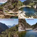 Lejlighed Palma Piscine Chauffee Grand Jardin Avec Piscine A 1 Km De La *