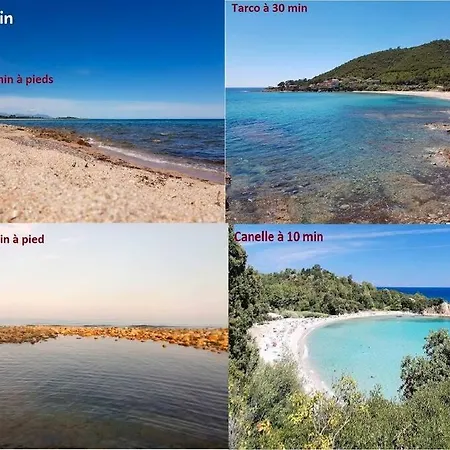 Palma Piscine Chauffee Grand Jardin Avec Piscine A 1 Km De La Lejlighed