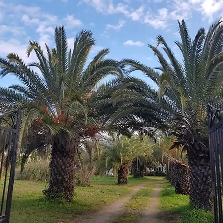 Palma Piscine Chauffee Grand Jardin Avec Piscine A 1 Km De La דירה