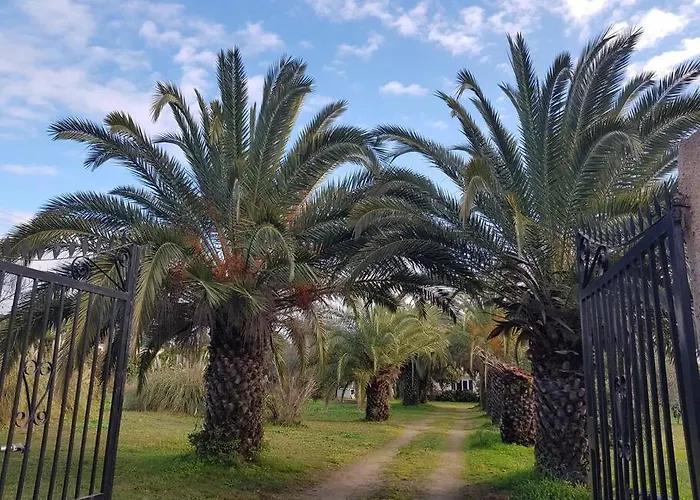 Palma Piscine Chauffee Grand Jardin Avec Piscine A 1 Km De La דירה