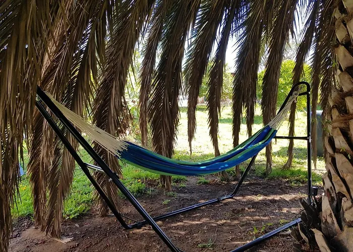 Palma Piscine Chauffee Grand Jardin Avec Piscine A 1 Km De La דירה *