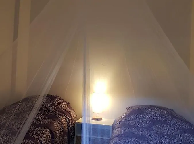 דירה Palma Piscine Chauffee Grand Jardin Avec Piscine A 1 Km De La *